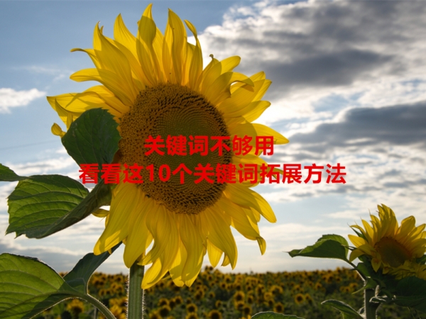 關(guān)鍵詞不夠用，看看這10個(gè)關(guān)鍵詞拓展方法！